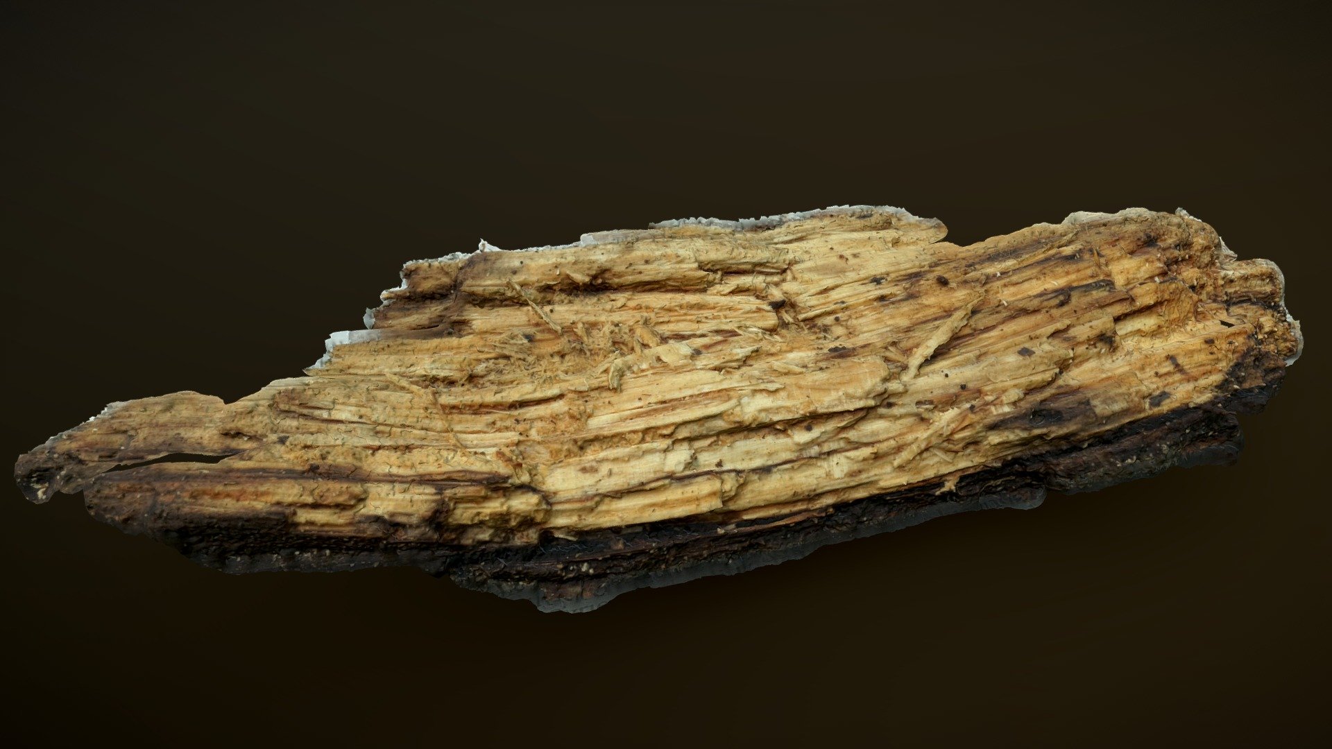 A nice piece of dead wood