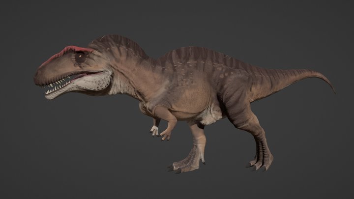 Acrocanthosaurus walk 3D Model