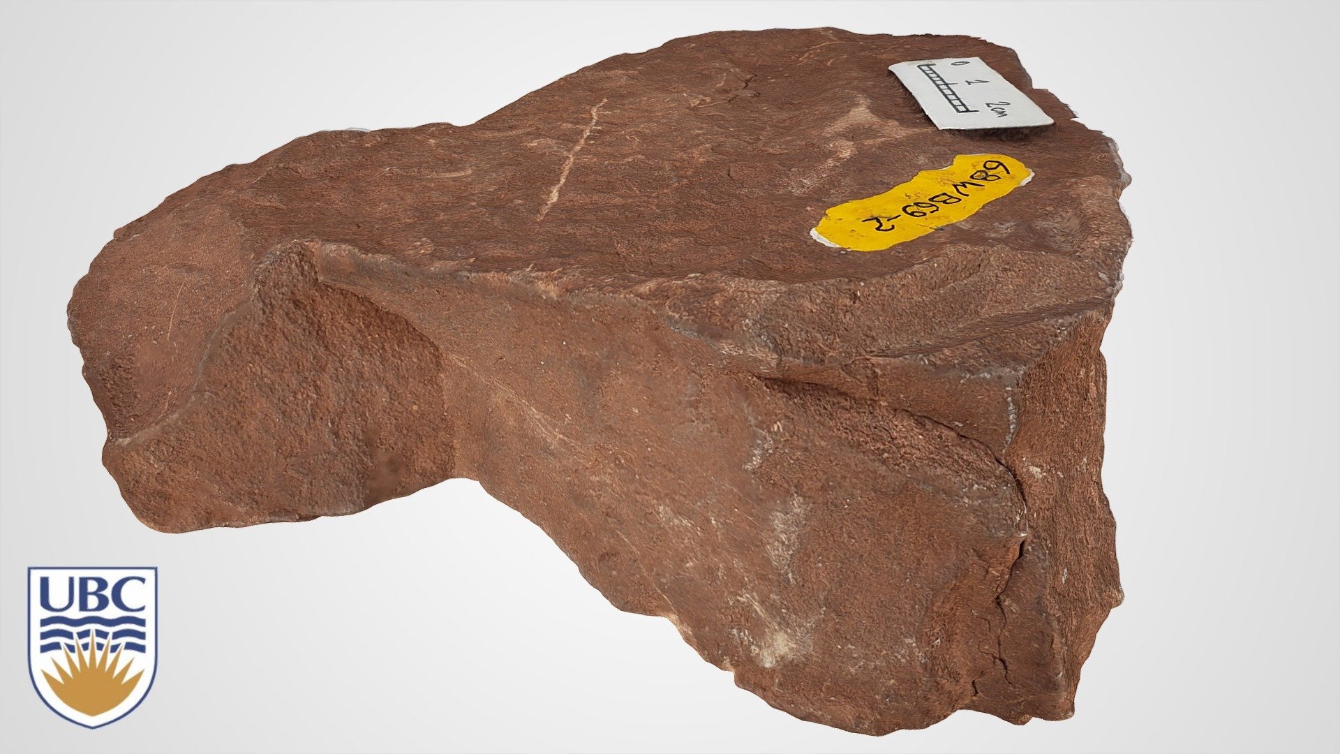 Redwall Limestone representative sample 3D model by Nichole Moerhuis