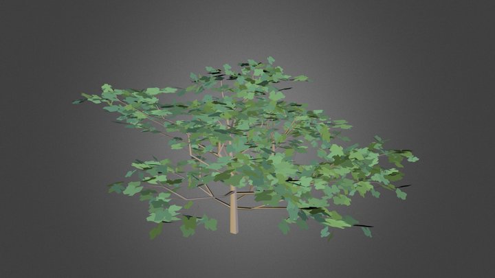 Drevo 3D Model