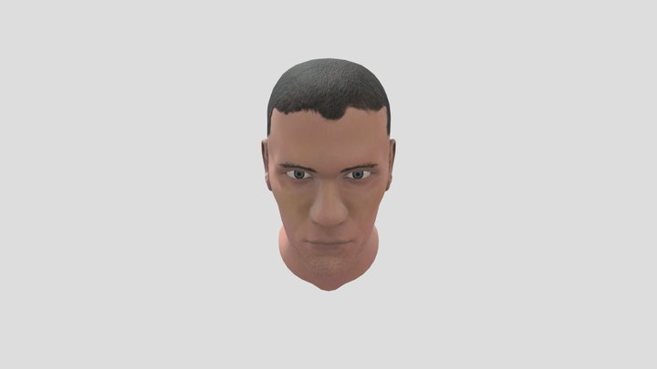 Really Bad Face Sculpt 3D Model