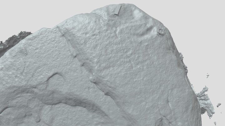 Greenan Rock Art scan- 3D Model