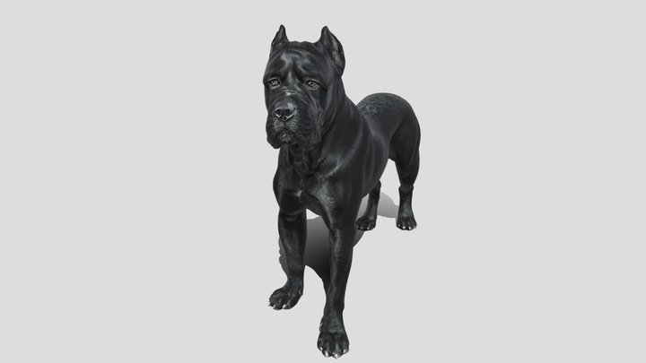 Guardian dog 3d model free – Modello 3D gratuito STL