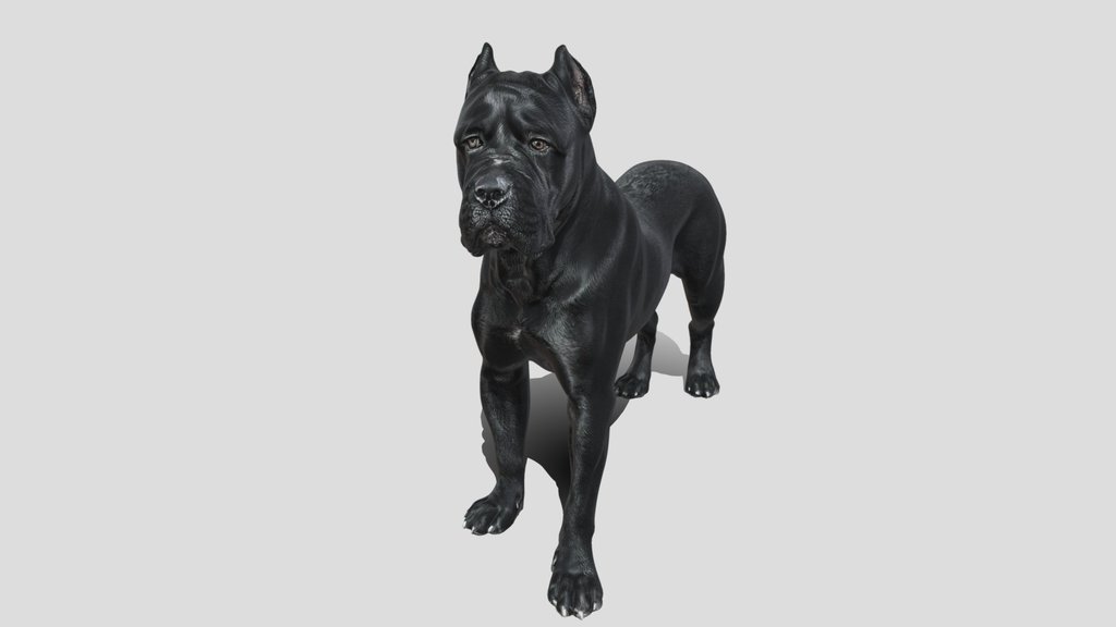 Guardian dog 3d model free
