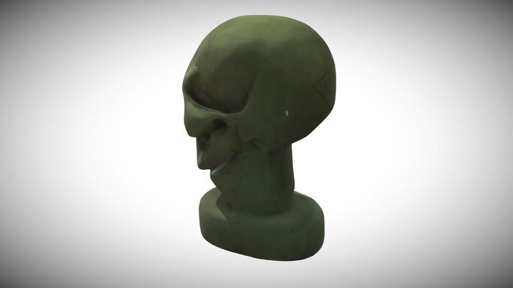 Skull Sculpture Scan 3D Model