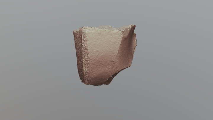 SDG12L2-292-3D 3D Model