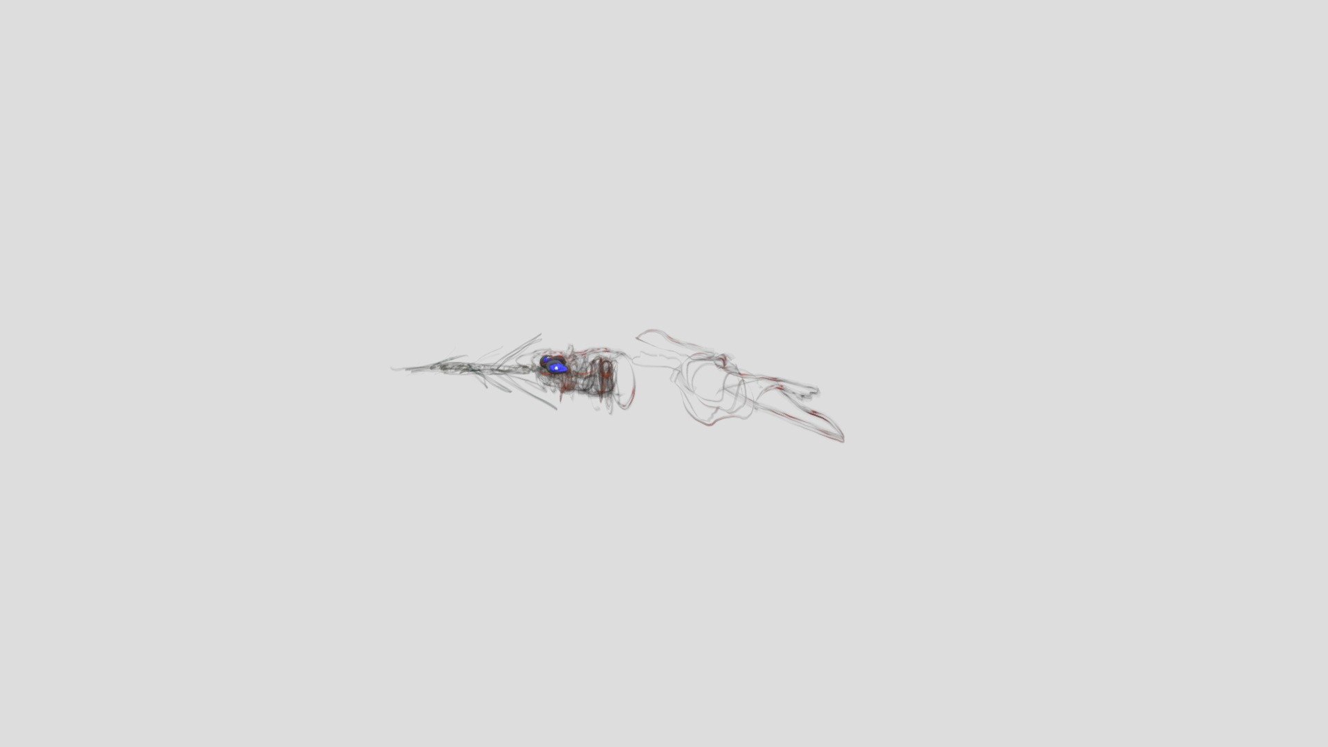 flying fishbird (copy)