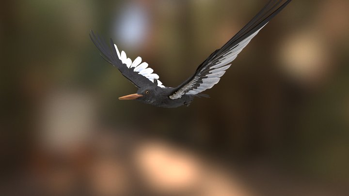 Model 110A - Imperial Woodpecker Flying – Free 3D Model STL