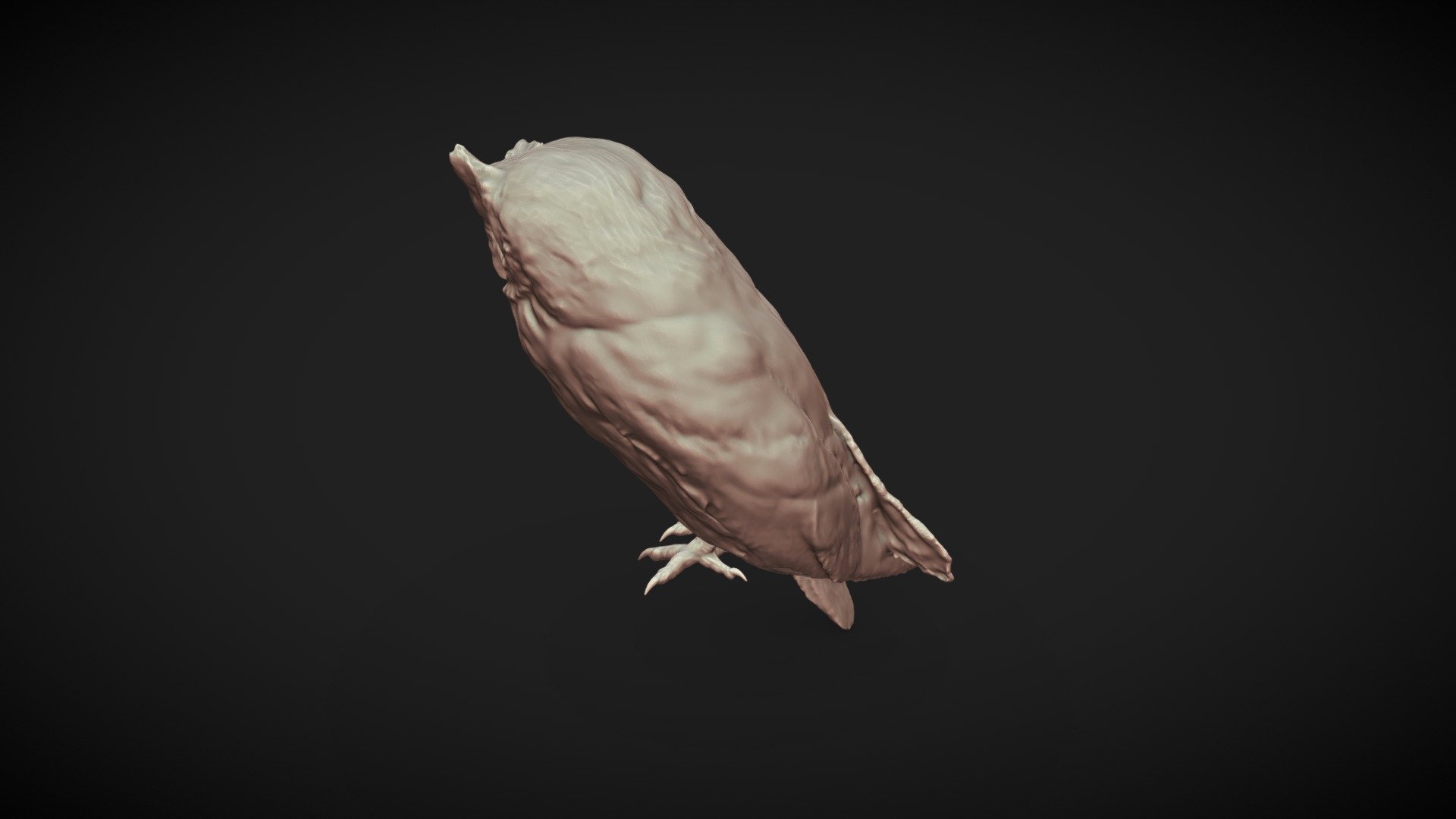 Scops owl