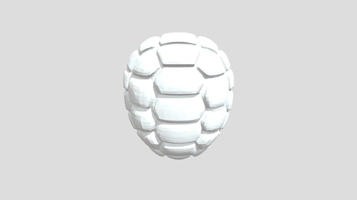 Turtle Shell Matrix 3D Model