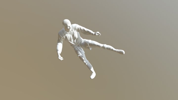 Zidane-n(1) 3D Model