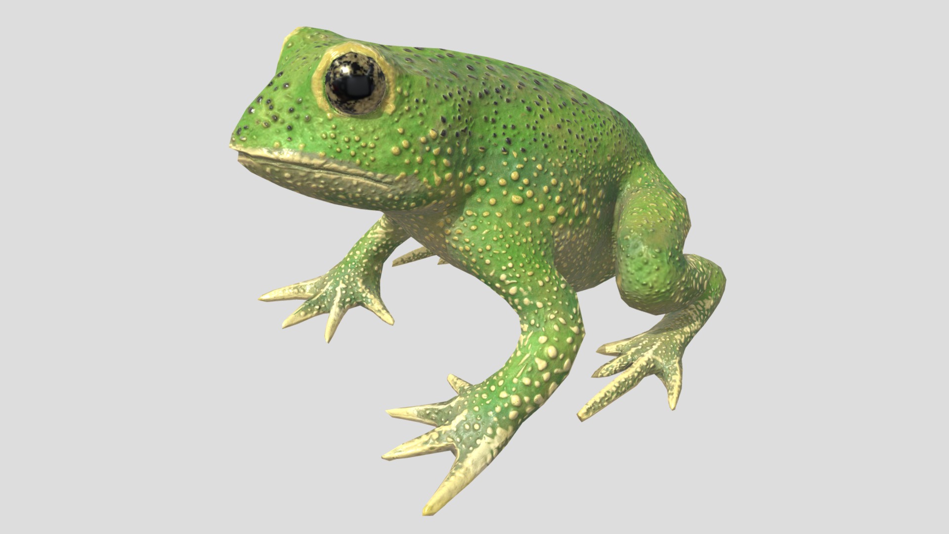 3D model Low Poly Green Toad - This is a 3D model of the Low Poly Green Toad. The 3D model is about a green frog with a white background.