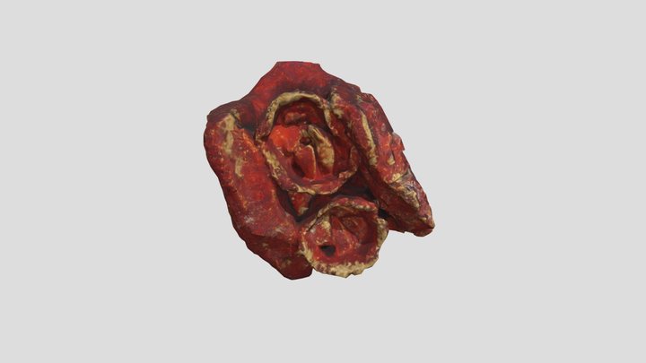 redflower_LOWLOW 3D Model