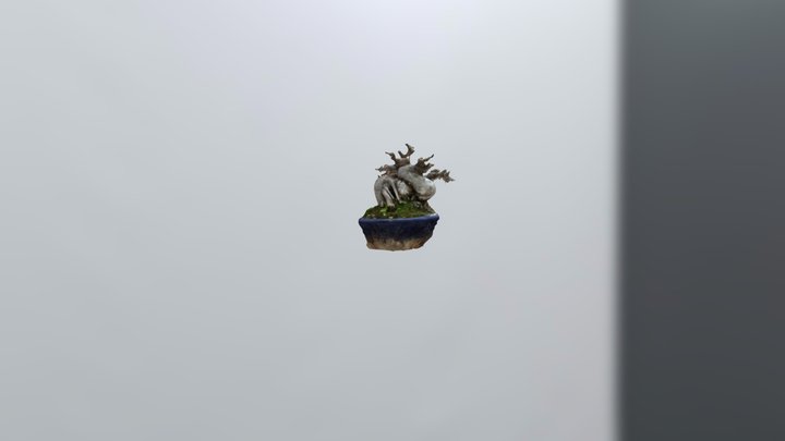 Mini Chinese Penjing by He Jianglong 3D Model