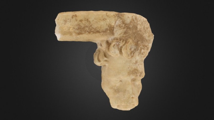 Marble Head of a Barbarian