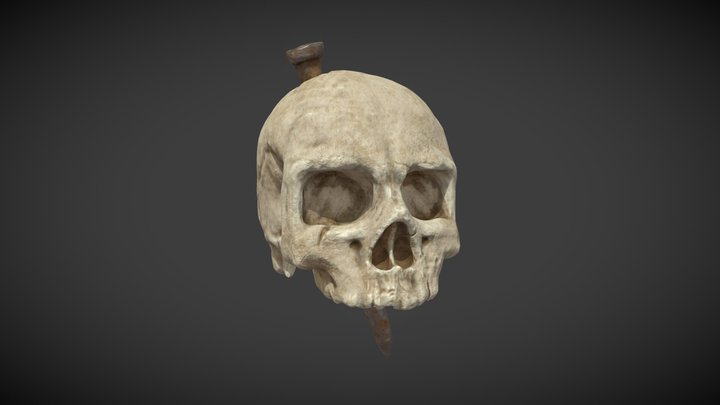 Studded Skull 3D Model