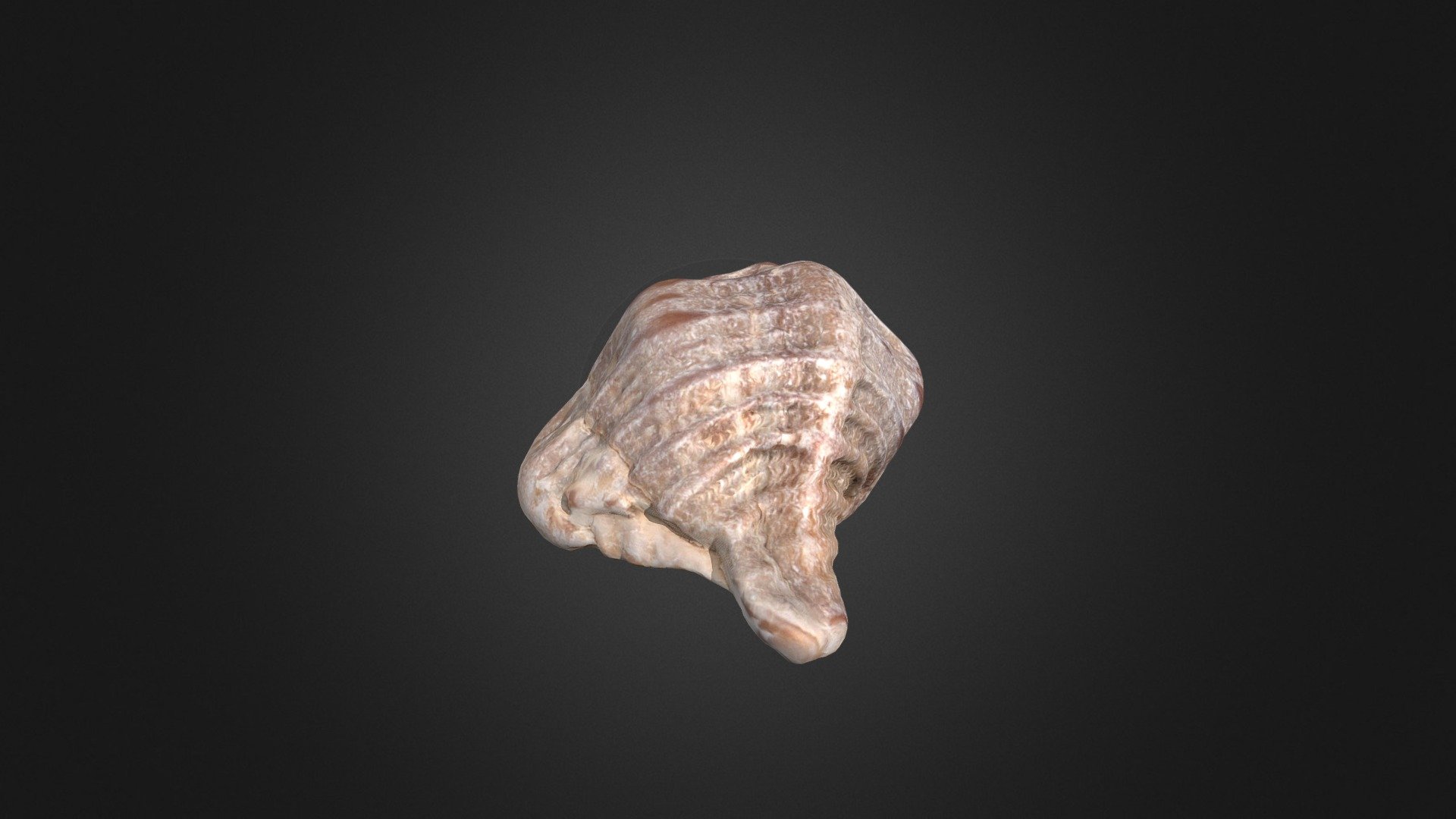 Caracola — Sketchfab embed 3D viewer