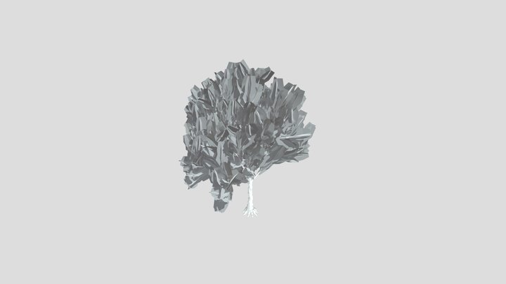 American Beech Tree Variation Low Poly – Free 3D Model STL