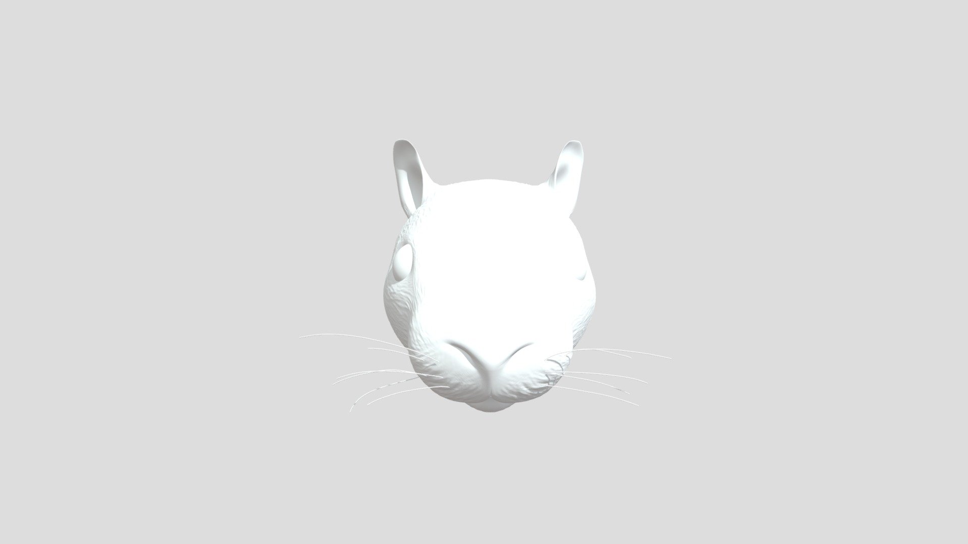 Rat Head - Download Free 3D model by Hyopsodus [64063ae] - Sketchfab