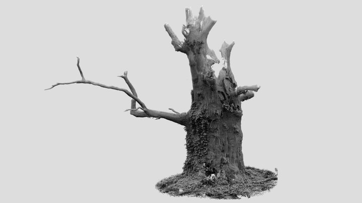 Gog, Oaks of Avalon 3D Model