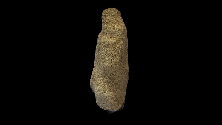 53 3D Model