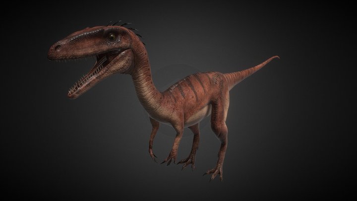 Coelophysis (Dinosauria) 3D Model