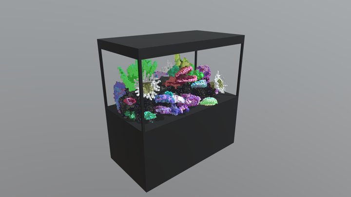 Voxel Aquarium 3D Model
