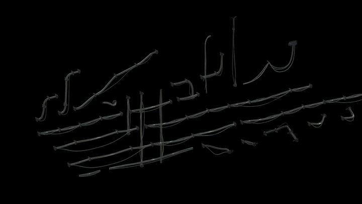 Dust Wires 3D Model