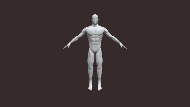 Anatomy Man 3D Model