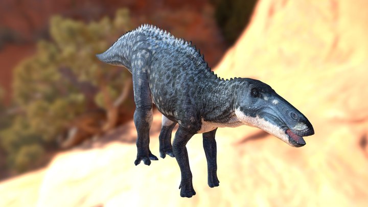 Shantungosaurus 3D Model