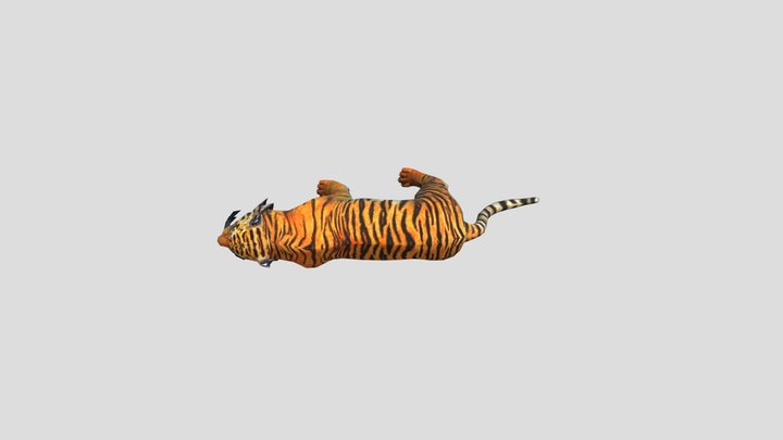Tiger_v4_029 3D Model
