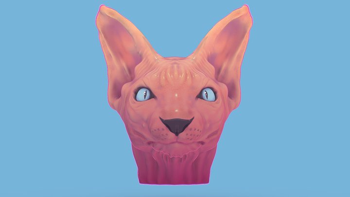 Sphynx Cat 3D Model