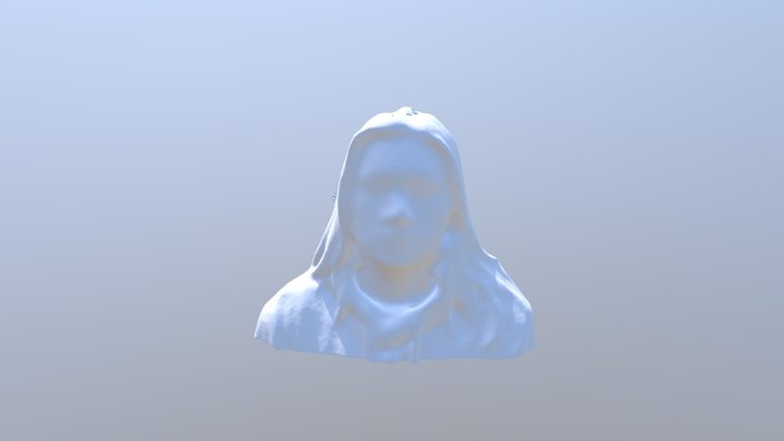 Taedyn Scanning Model 3D Model