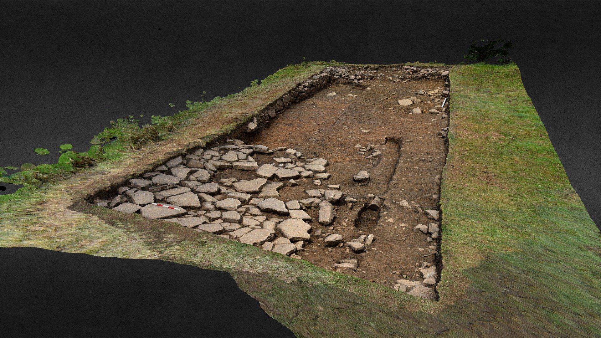 SWAAG HFS19 Excavation Area 3
