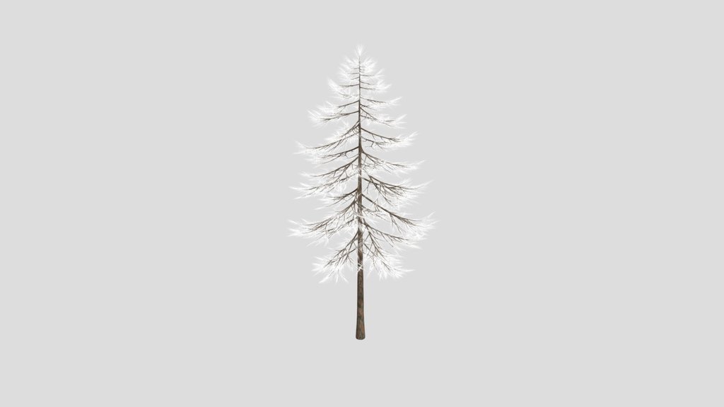 Pine Tree