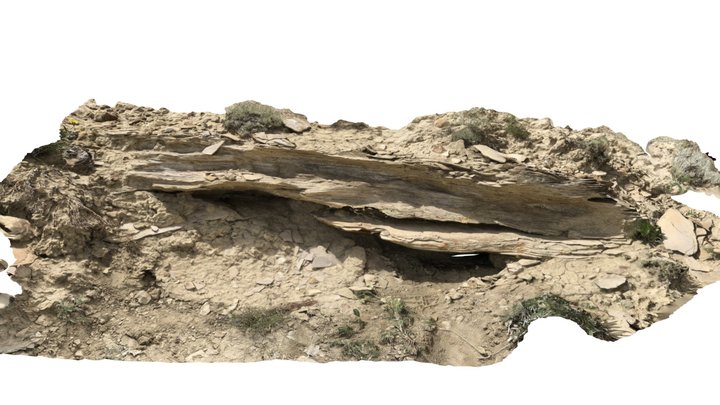 White Sandy 3D Model