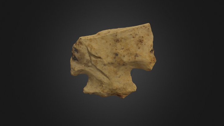 Dooley Branch Cluster 3D Model