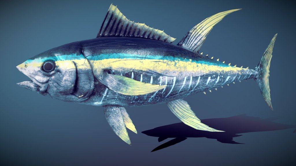 Tuna Fish