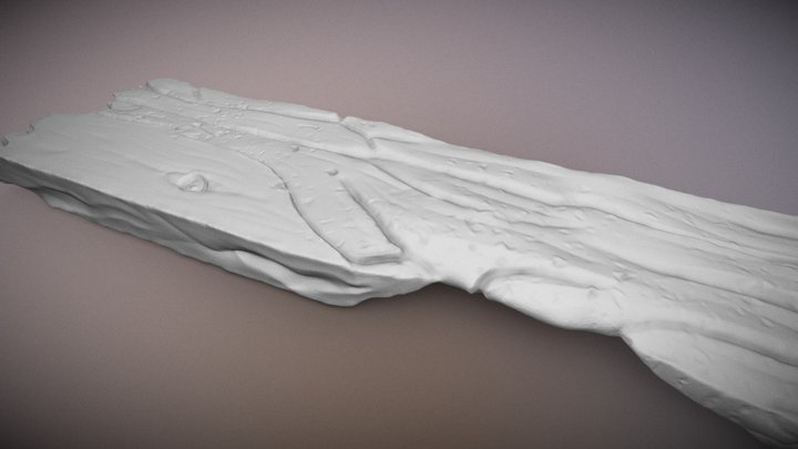 Atribute : Rotten 3D Model