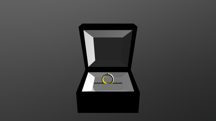 Ring 3D Model