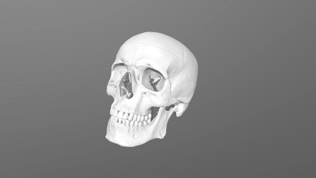 Skull - Markerless Laser Creality Sermoon P1