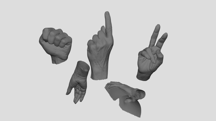 Hands 7 3D Model