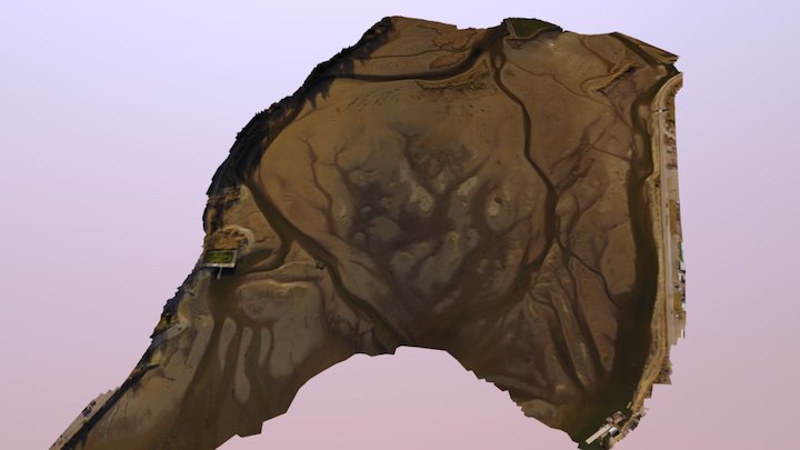 CERCA - Cowichan Estuary Mud Flats (South) 3D Model