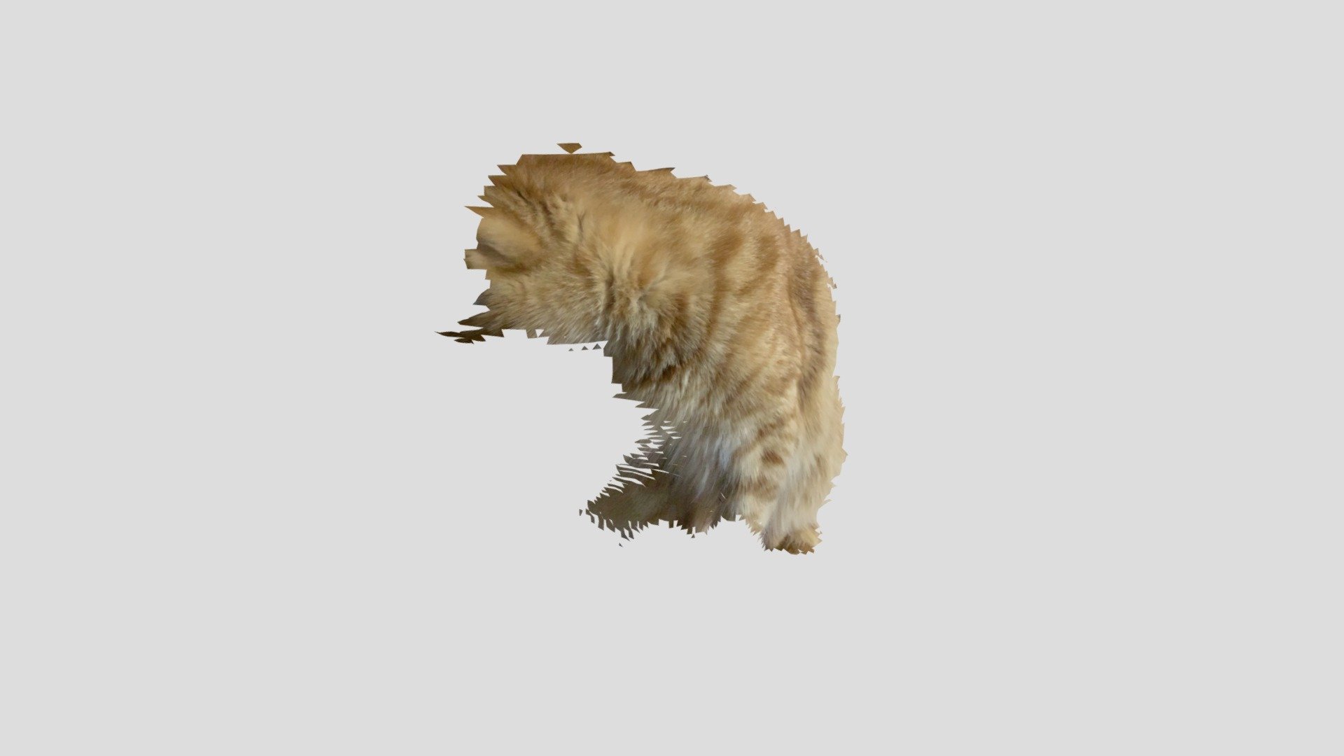 New Model