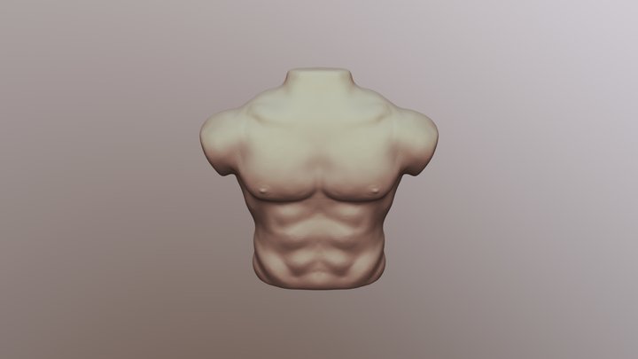 Sculpt January 2019 - Day 3 - Body - Chest 3D Model
