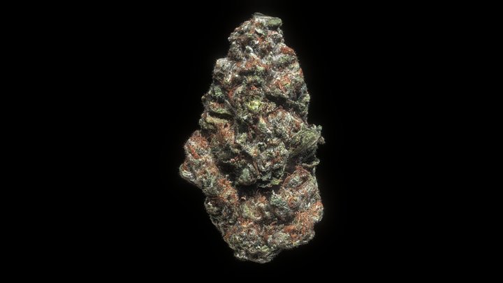 Imagine the Smell Nug 3D Model