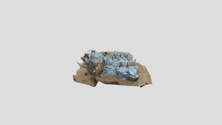 Renklendirilmiş Mesh 1 3D Model