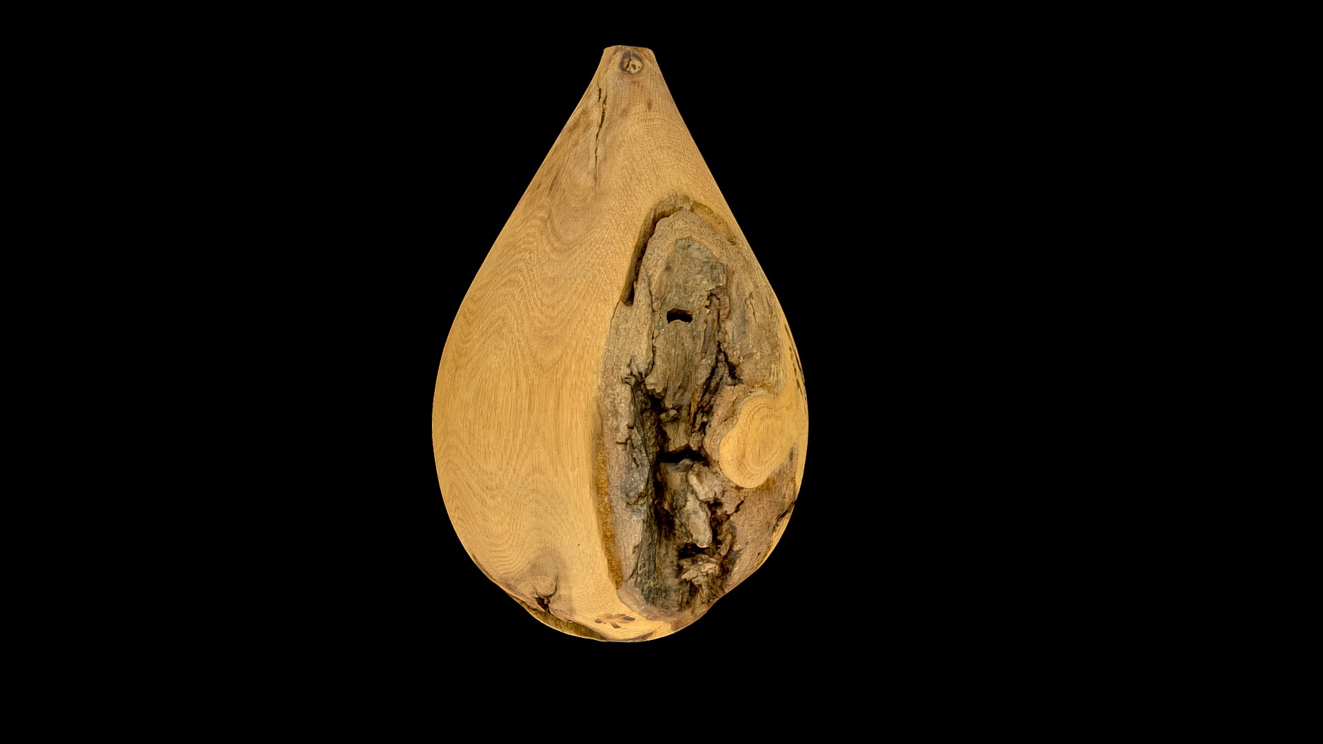 3D model Oak burl - This is a 3D model of the Oak burl. The 3D model is about a piece of wood with a hole in it.
