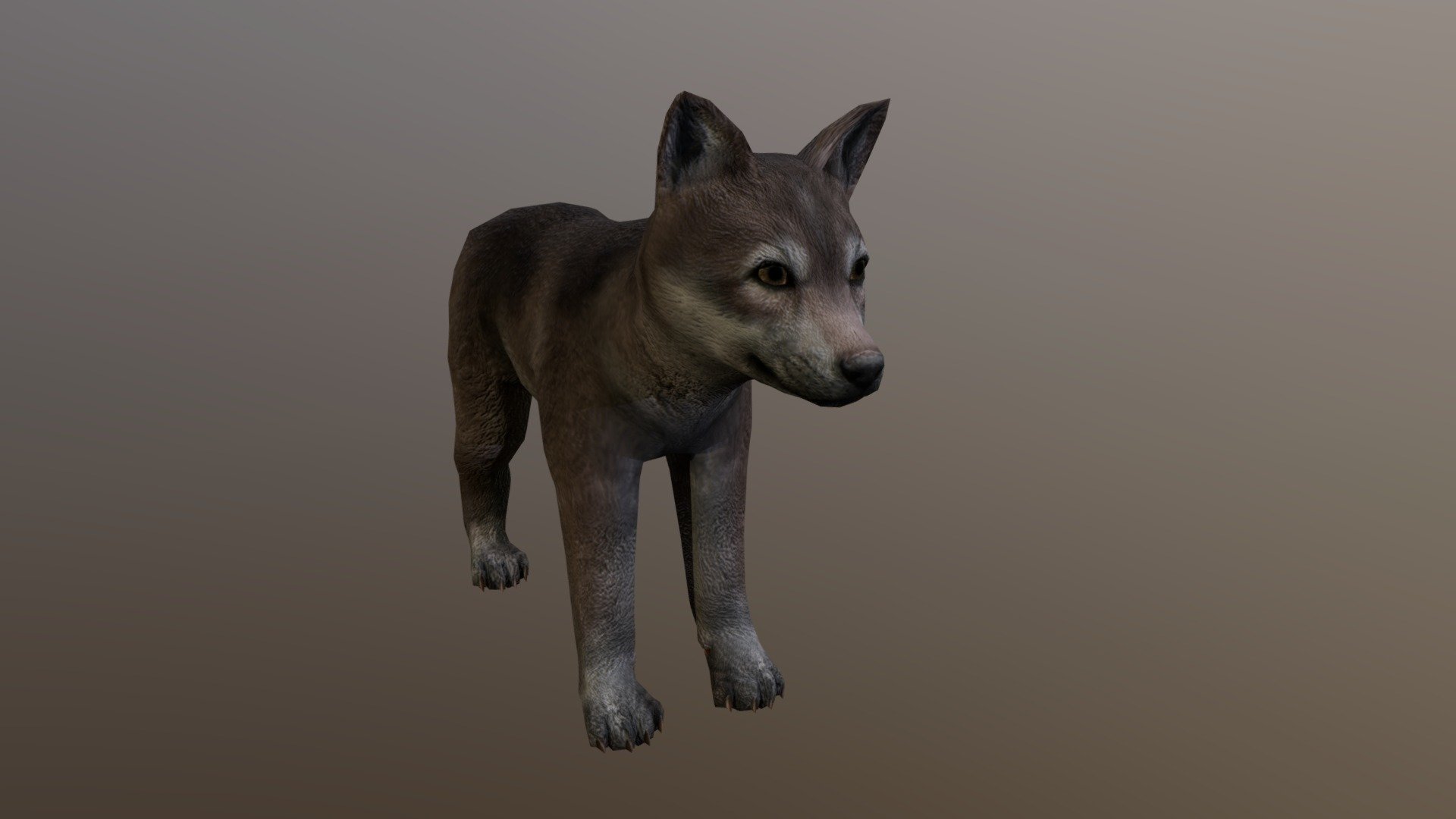 Wolf Puppy Edited