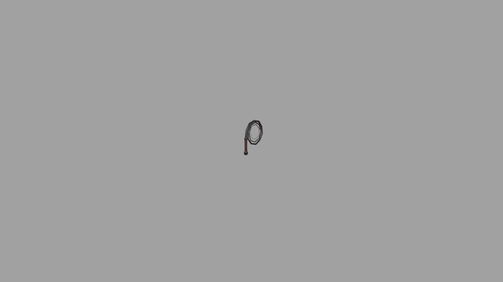 Bullwhip 3D Model